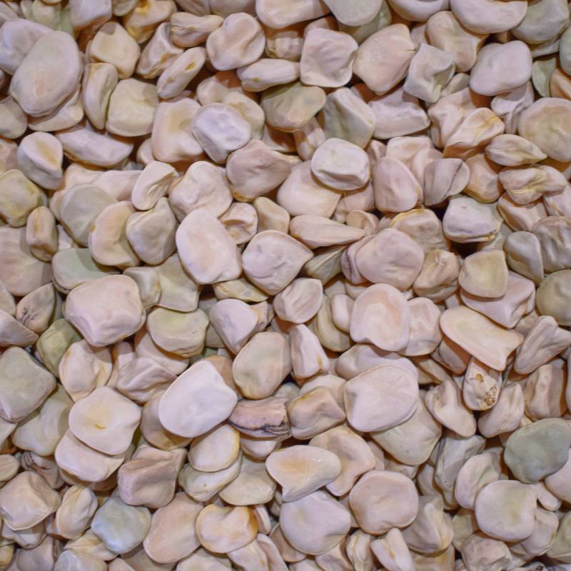 LE020_Chicharo_Almorta_Grass-pea__Sementes-Biologicas_Semillas-Ecologicas_Organic-Seeds_Sementes-Vivas_1