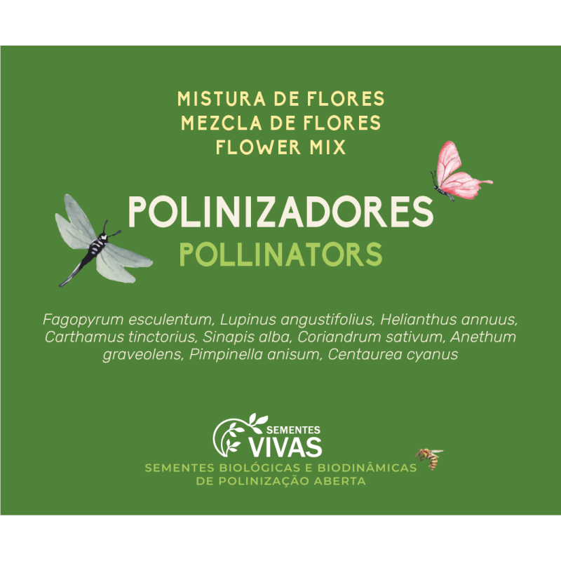 Caixa Mistura de Flores para Polinizadores