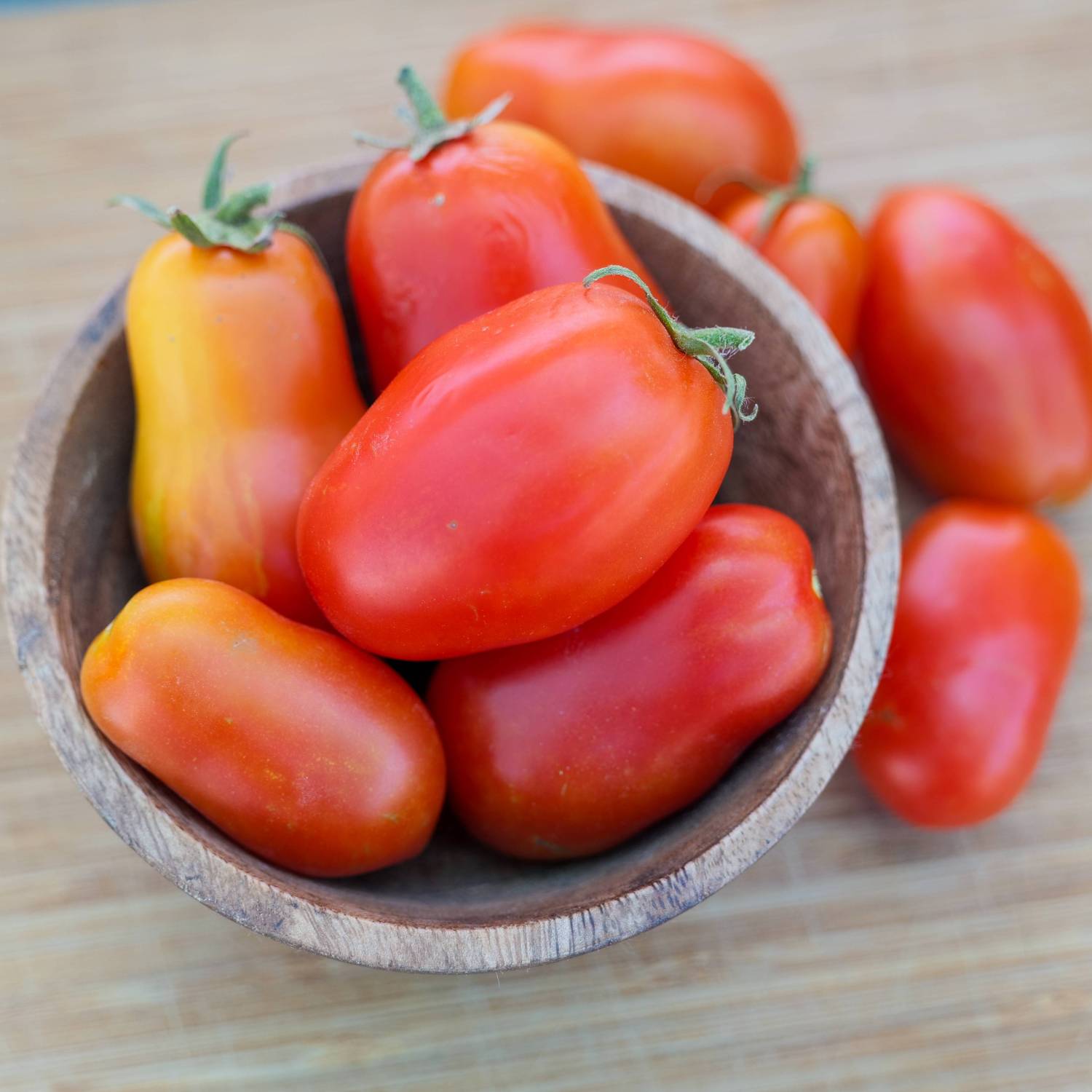 Tomate 'Super Roma' - Semillas Ecológicas | Sementes Vivas