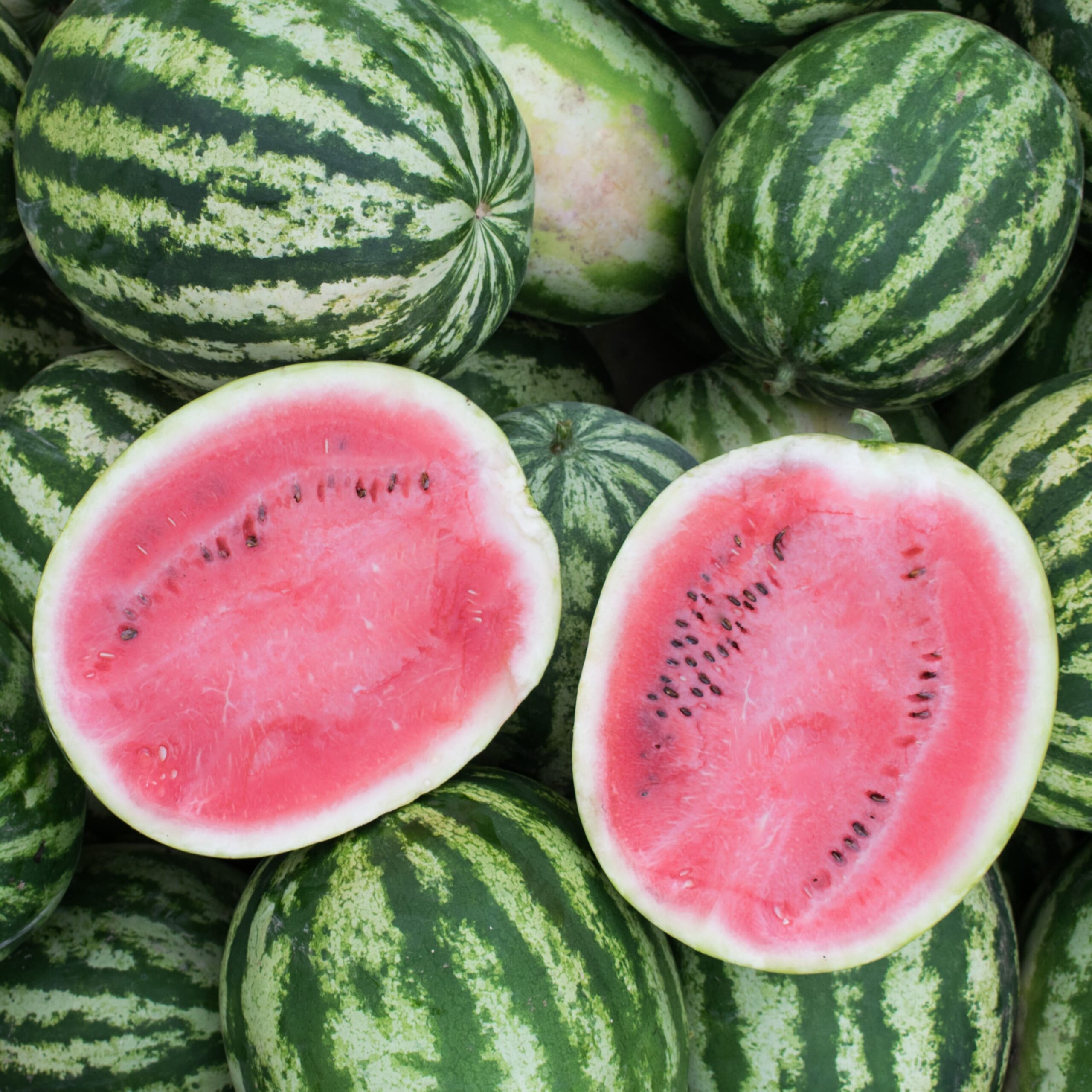 FR007_Melancia_Crimson_sweet