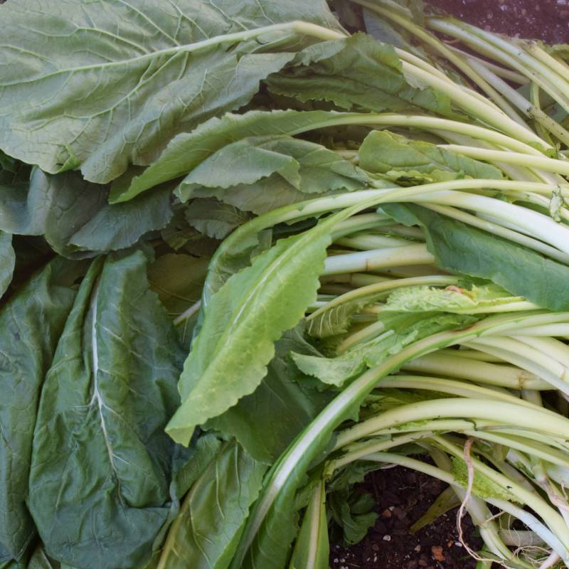 couve-nabica-doce-maria-