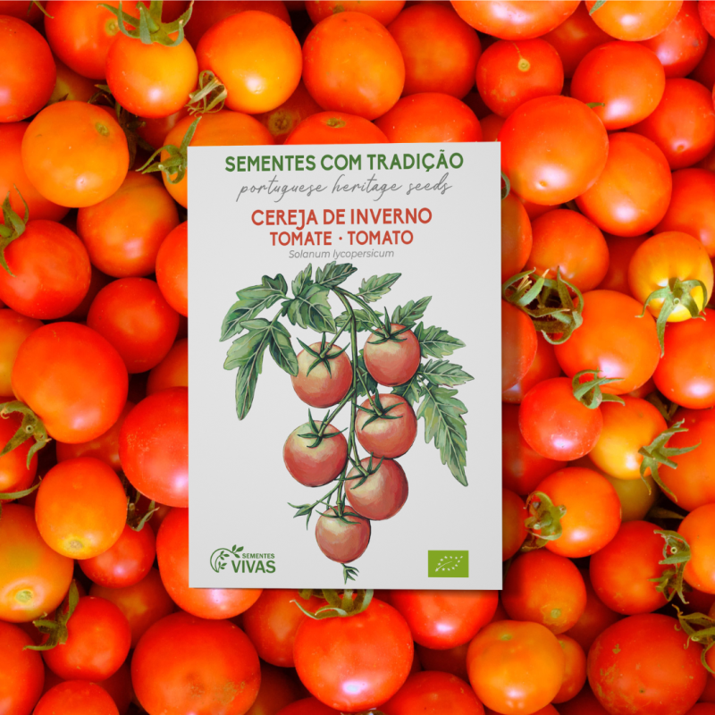 tomate-cereja-de-inverno