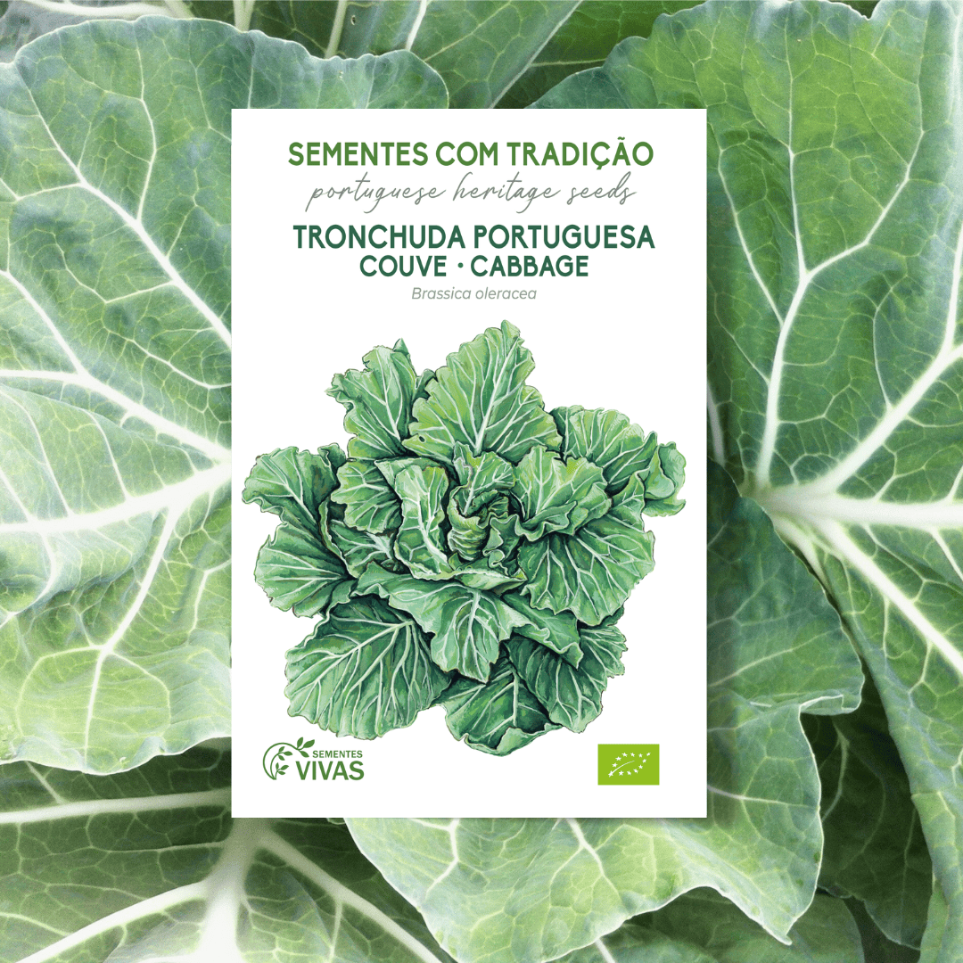 CO011_Couve_Tronchuda_HL