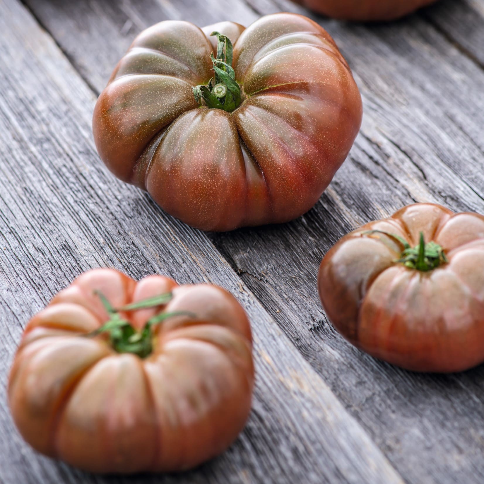 FR159_Tomate_Noire_de_Crimee