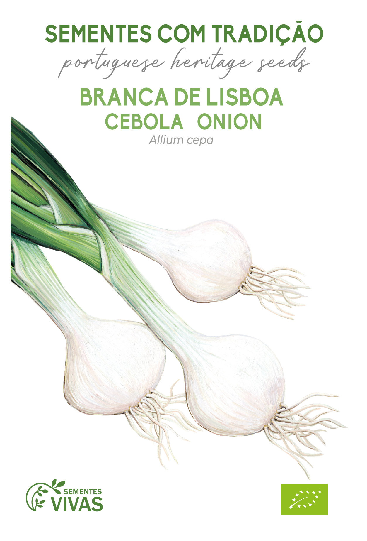 RA001 Cebola Branca de Lisboa HL _ fora dir