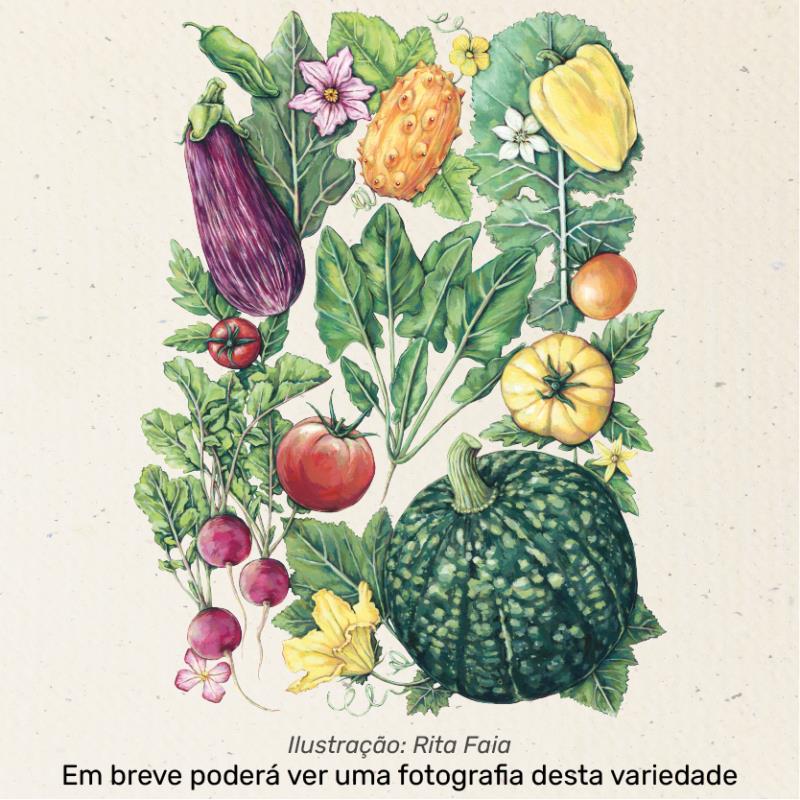 Ilustração sementes vivas neutra